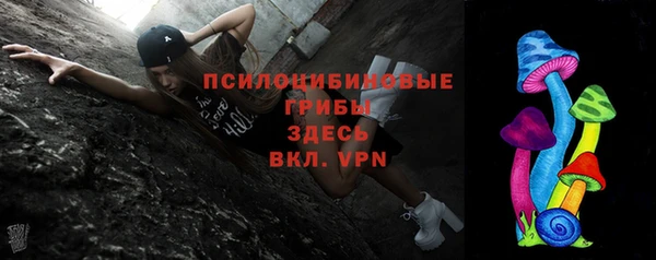 дурь Верея