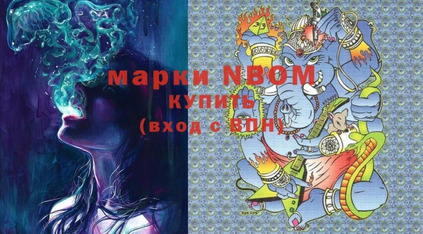 крисы Бородино