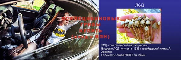 гашик Верхний Тагил